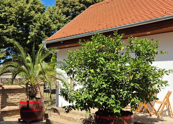 Citrusliget Vendeghaz Pensiune *